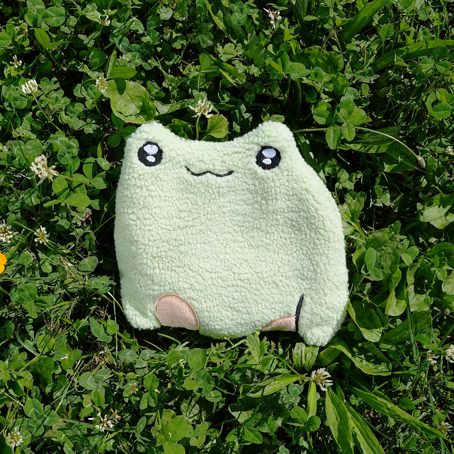 Slippy the Frog