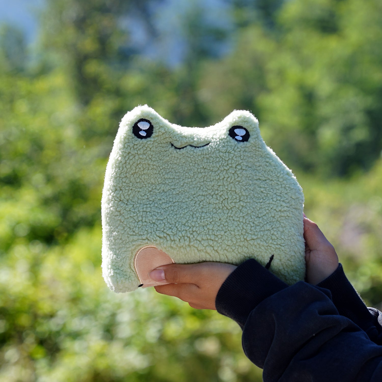 Slippy the Frog