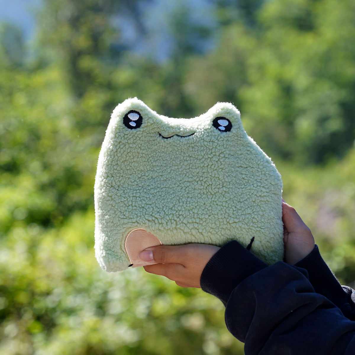 Slippy the Frog