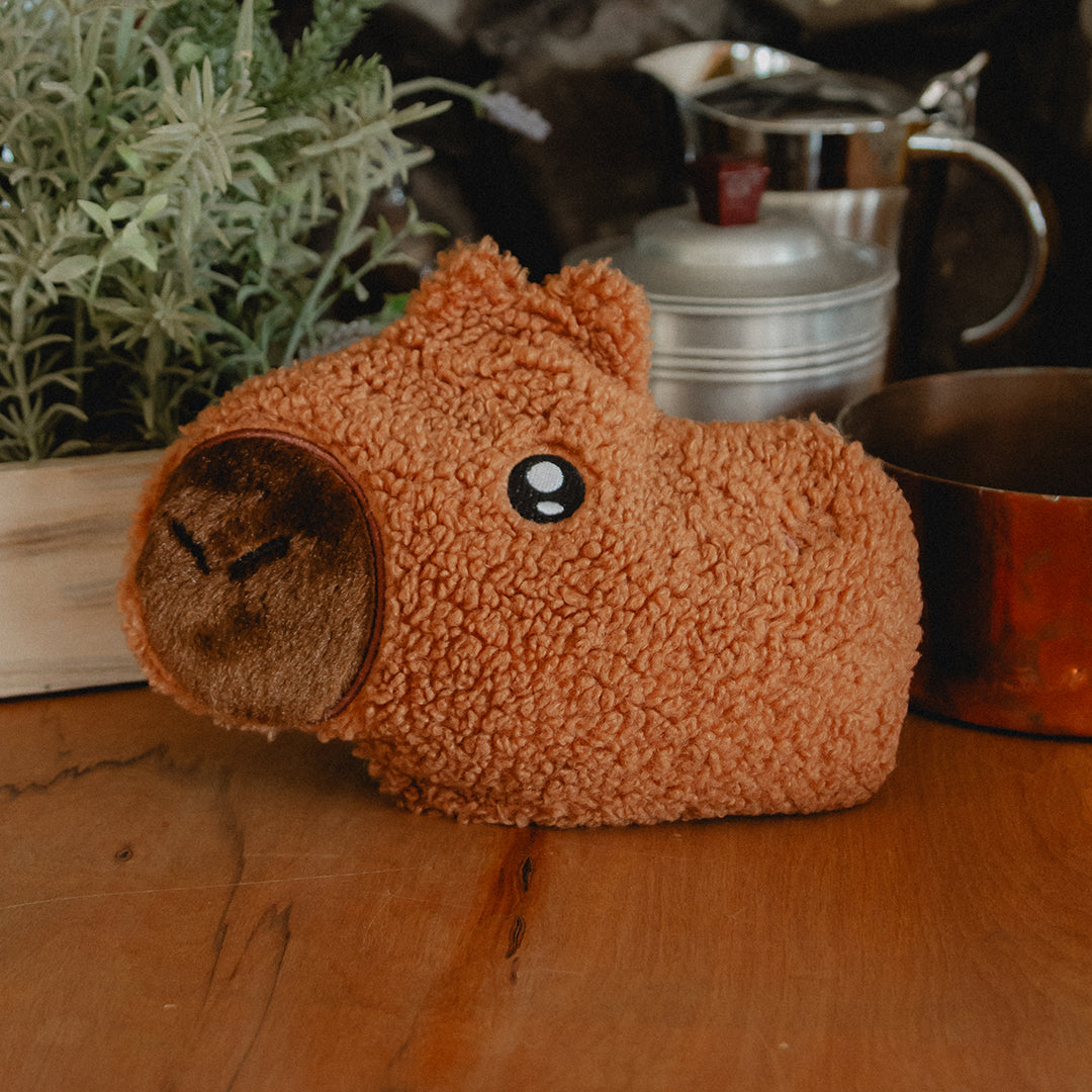 Churro the Capybara